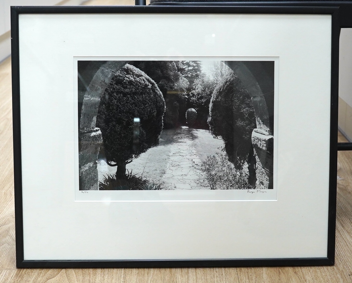 Roger Mayne (Photographer, 1929-2014), gelatin silver print, Tree lined pathway, signed in ink, limited edition 2/72, 24 x 33cm. Condition - good